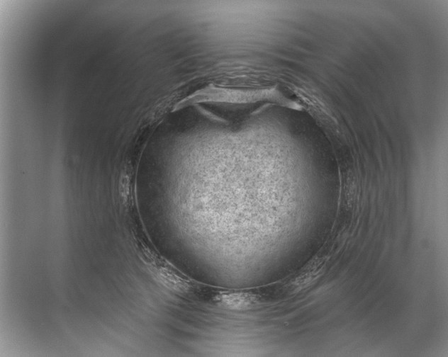 X0000071800417200607150152