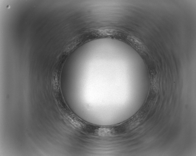 X0000071800418200607150151