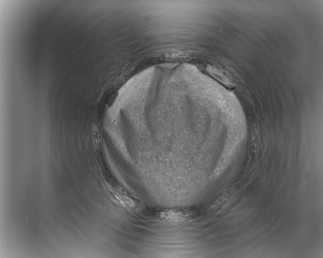 X0000071800419200607150151