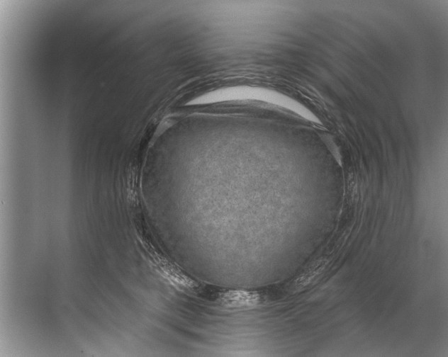 X0000071800421200607150151