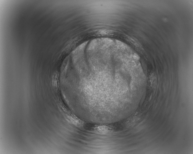 X0000071800423200607150151