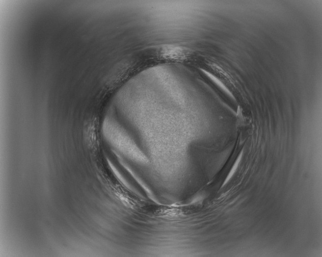 X0000071800424200607150151