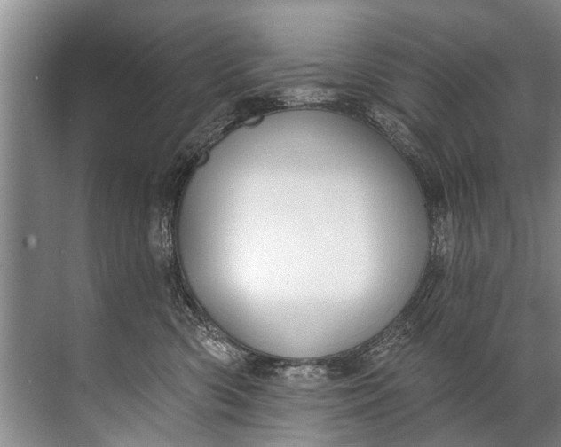 X0000071800426200607150151