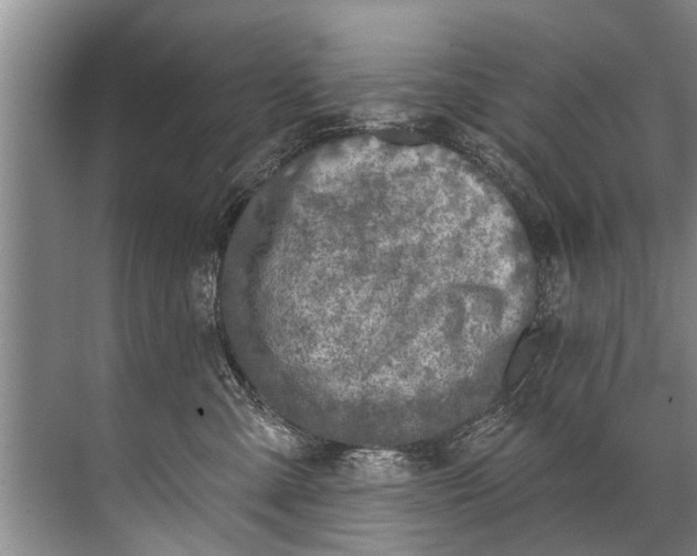 X0000071800427200607150151