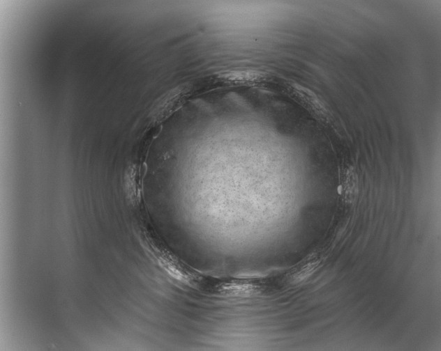 X0000071800428200607150151