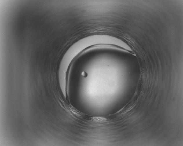 X0000071800429200607150151