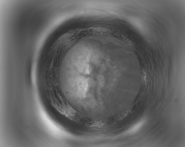 X0000071800431200607150151