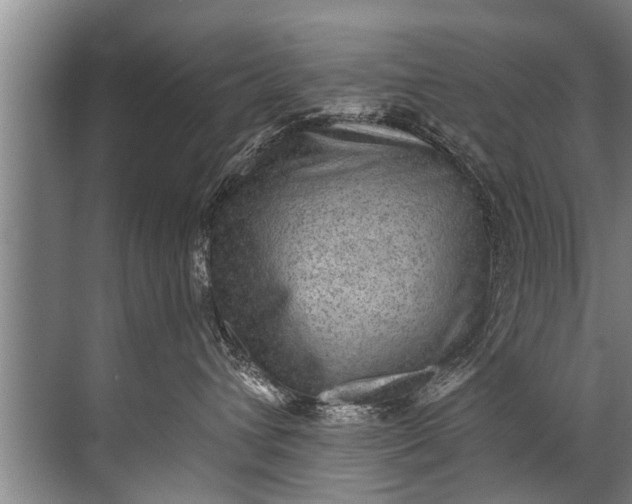 X0000071800432200607150151