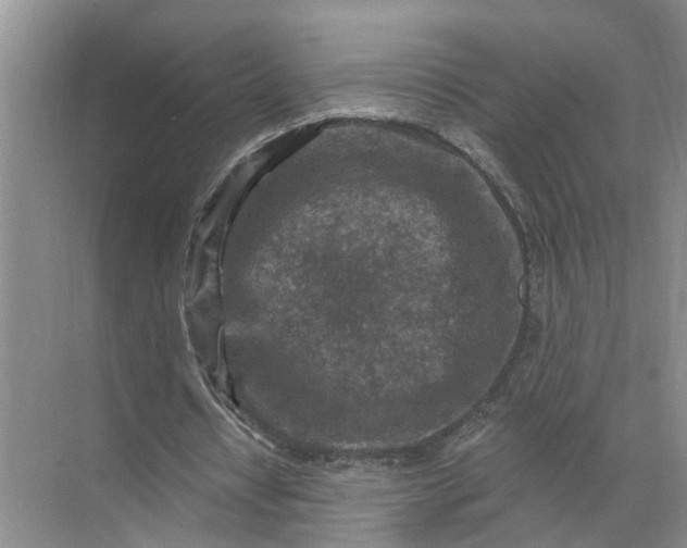 X0000071800434200607150150