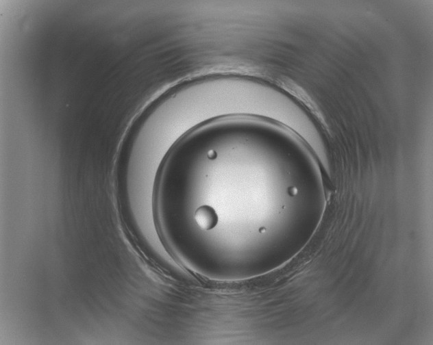 X0000071800436200607150151