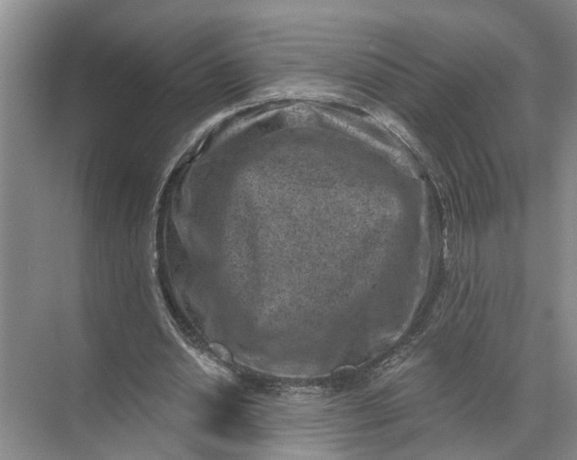 X0000071800438200607150151