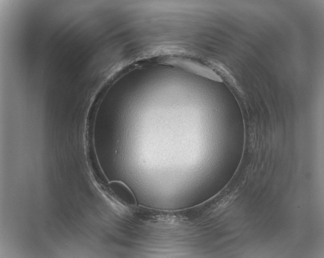 X0000071800439200607150151