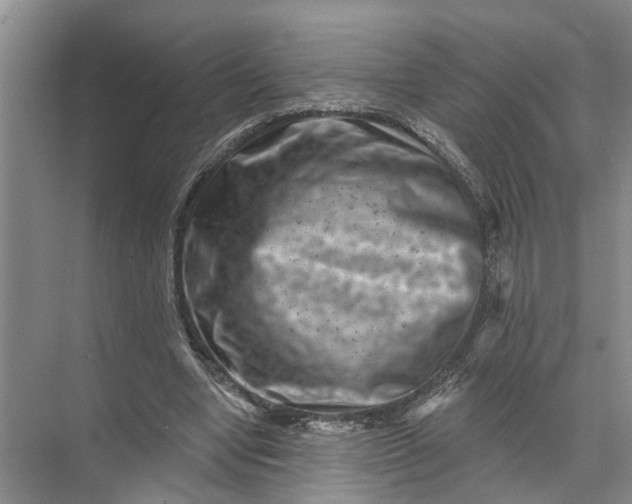 X0000071800442200607150151