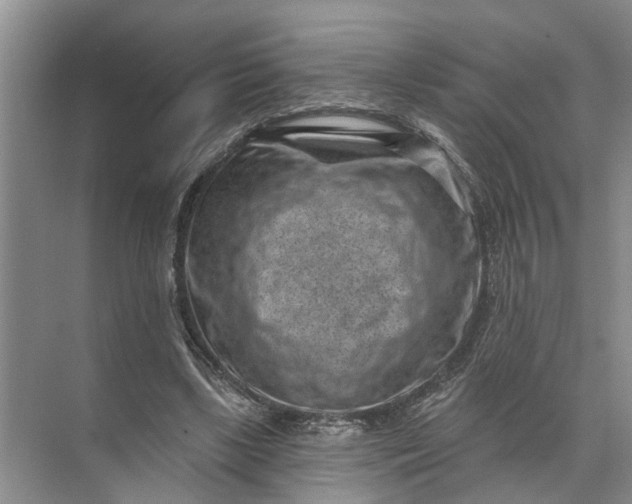 X0000071800443200607150151