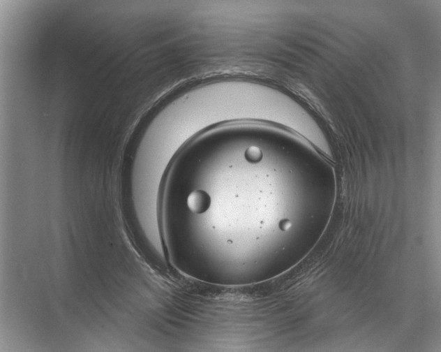 X0000071800444200607150151