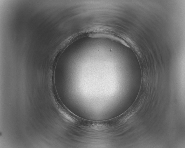 X0000071800445200607150151