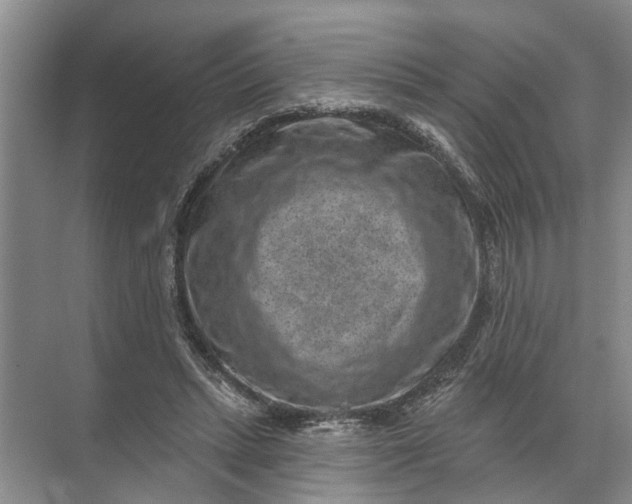 X0000071800447200607150151