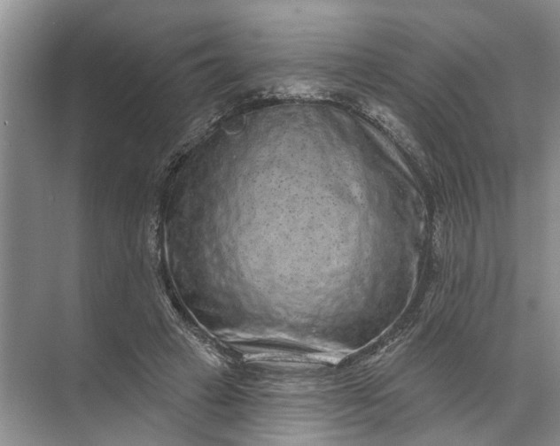 X0000071800449200607150151