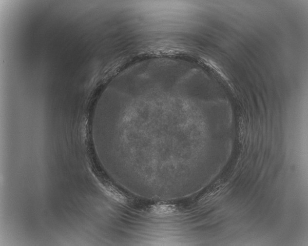 X0000071800451200607150151