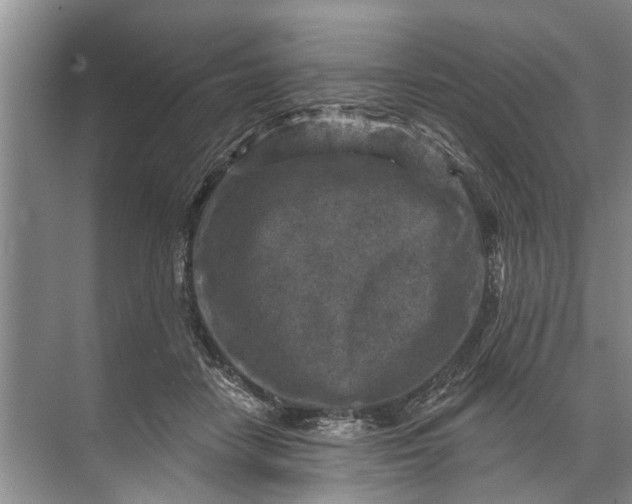 X0000071800458200607150151