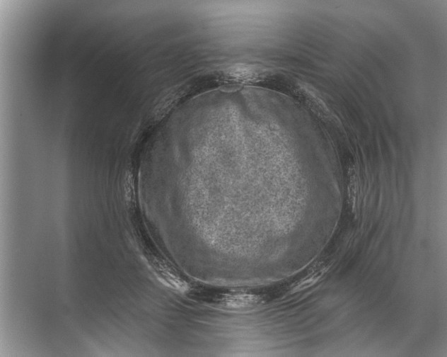 X0000071800459200607150151