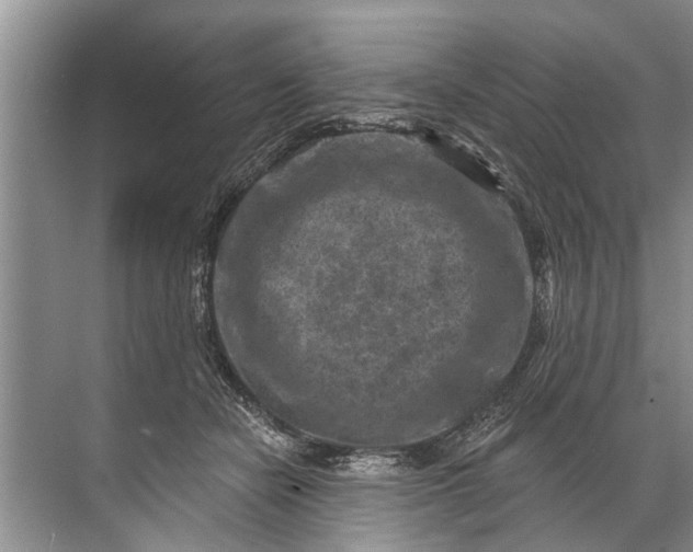 X0000071800462200607150151