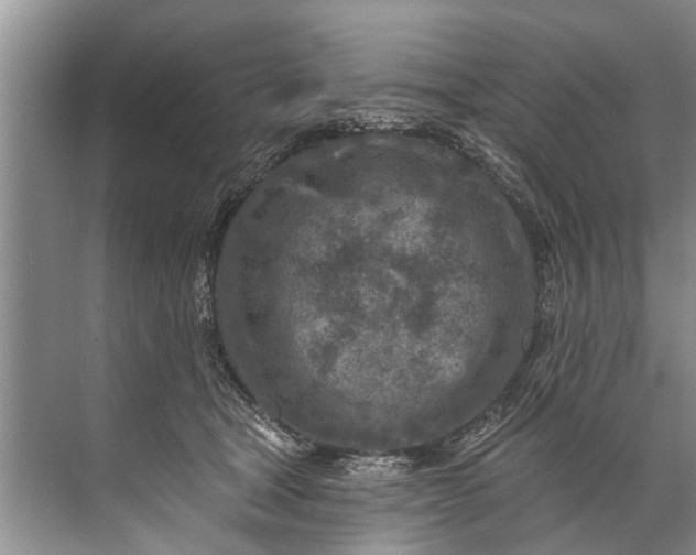 X0000071800465200607150151