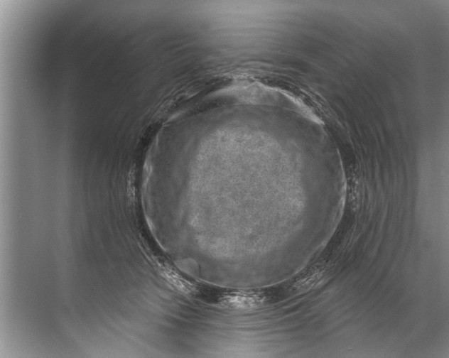 X0000071800466200607150151