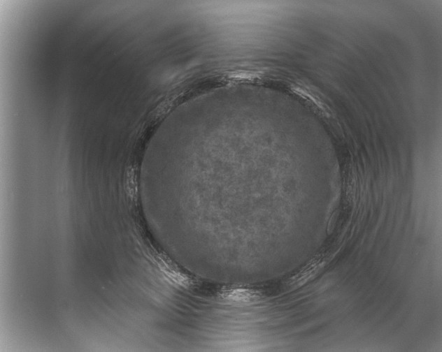 X0000071800467200607150151