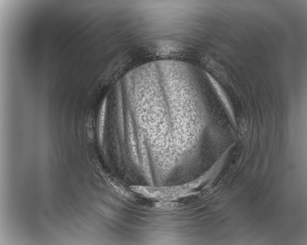 X0000071800470200607150151