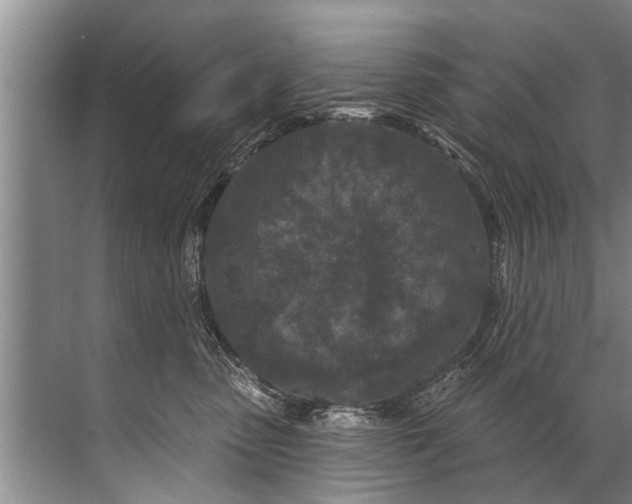 X0000071800475200607150151