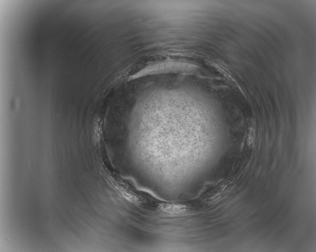 X0000071800476200607150151