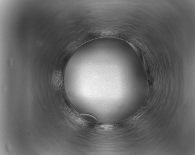 X0000071800478200607150151