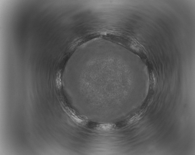 X0000071800479200607150151