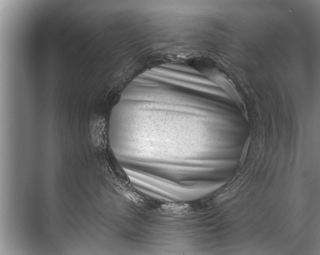 X0000071800480200607150151