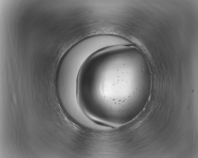 X0000071800481200607150150