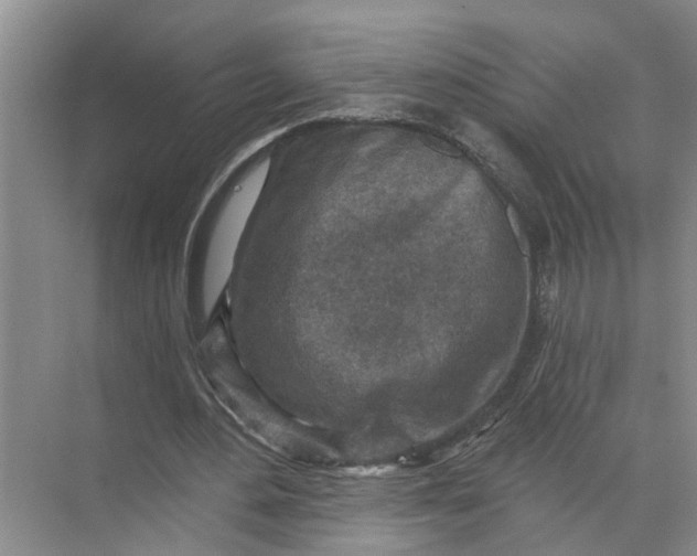 X0000071800484200607150150