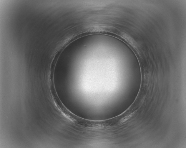 X0000071800485200607150150