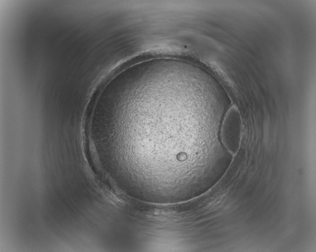 X0000071800487200607150150