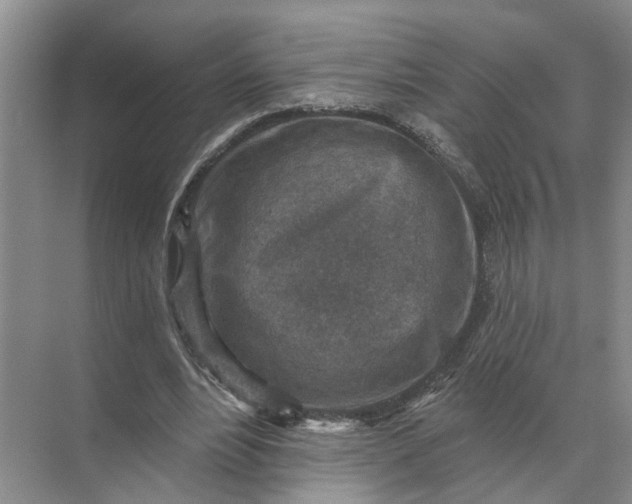 X0000071800488200607150150