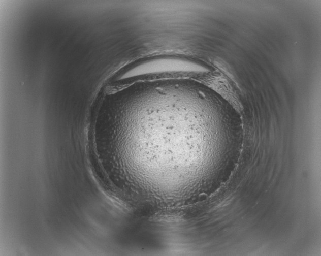 X0000071800491200607150150