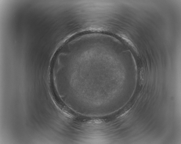 X0000071800492200607150150