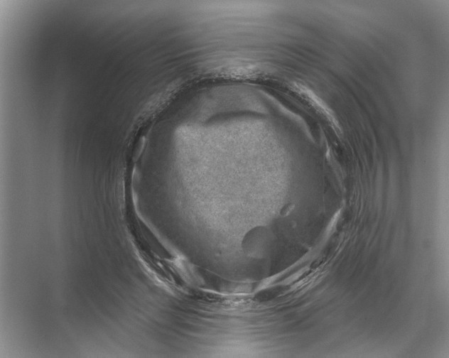 X0000071800493200607150150