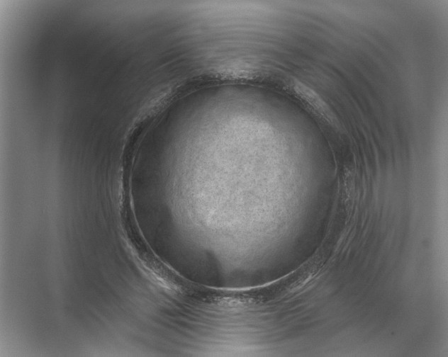 X0000071800494200607150150