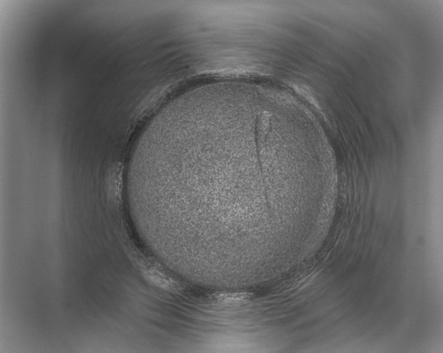 X0000071800495200607150150