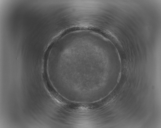 X0000071800496200607150150