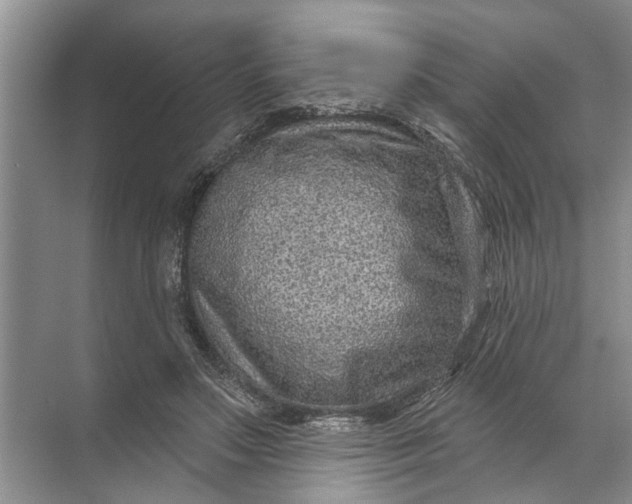 X0000071800499200607150150