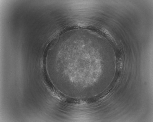 X0000071800500200607150150