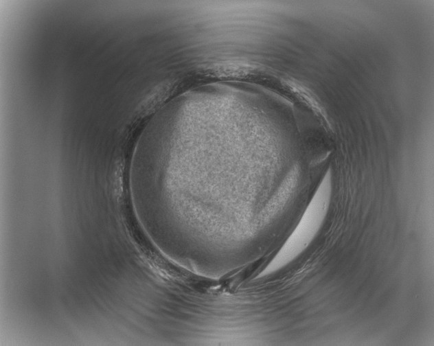 X0000071800501200607150150