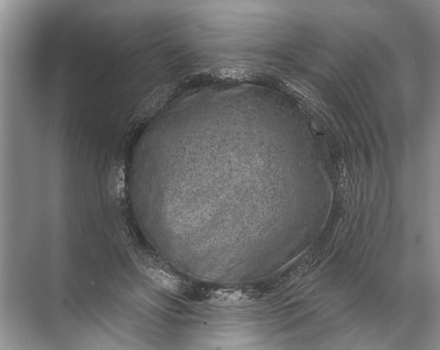 X0000071800502200607150150